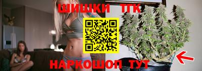 apvp Нальчик